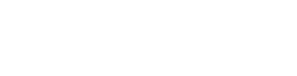 VGradu Portal